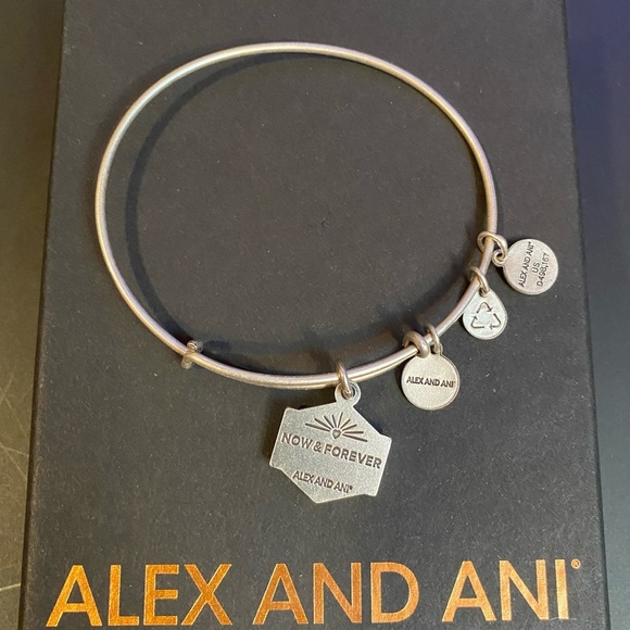 💙ALEX AND ANI💙”You Are Essential”Bangle Bracelet with Silver Finish/GC - Picture 2 of 4